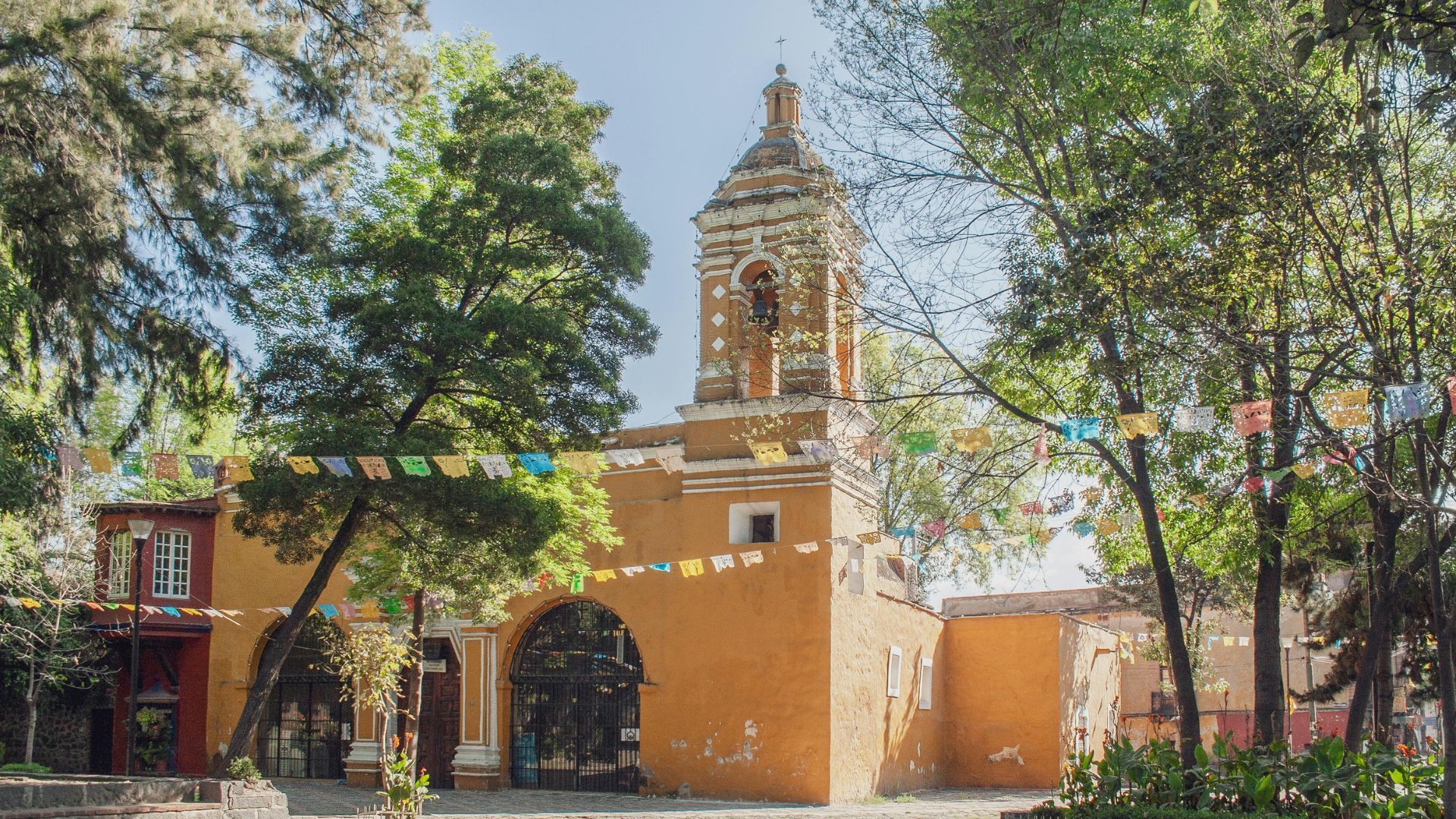 Mexico landscape