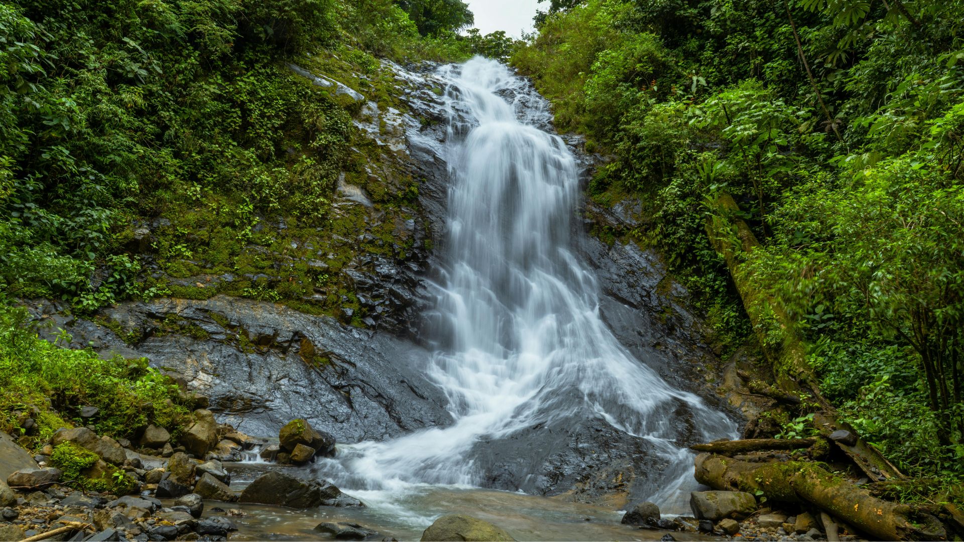 Santa Teresa