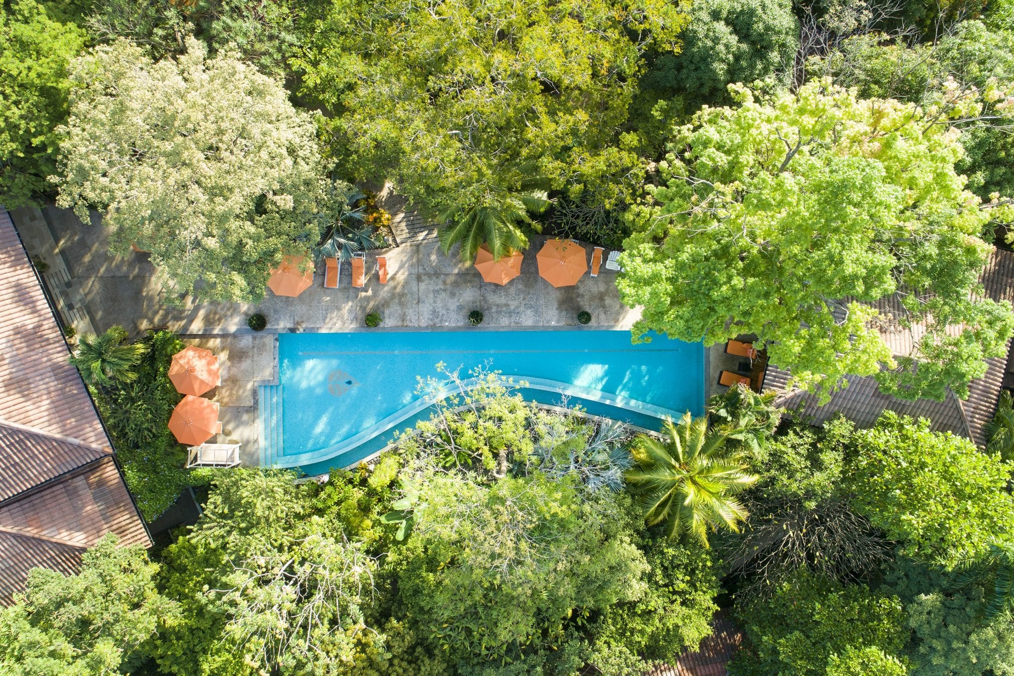 Bodhi Tree Yoga Resort 5