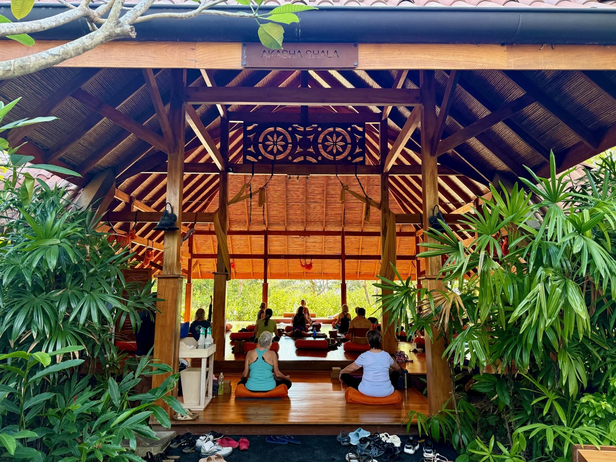 Freedom Yoga in Costa Rica: Envision 2027 3