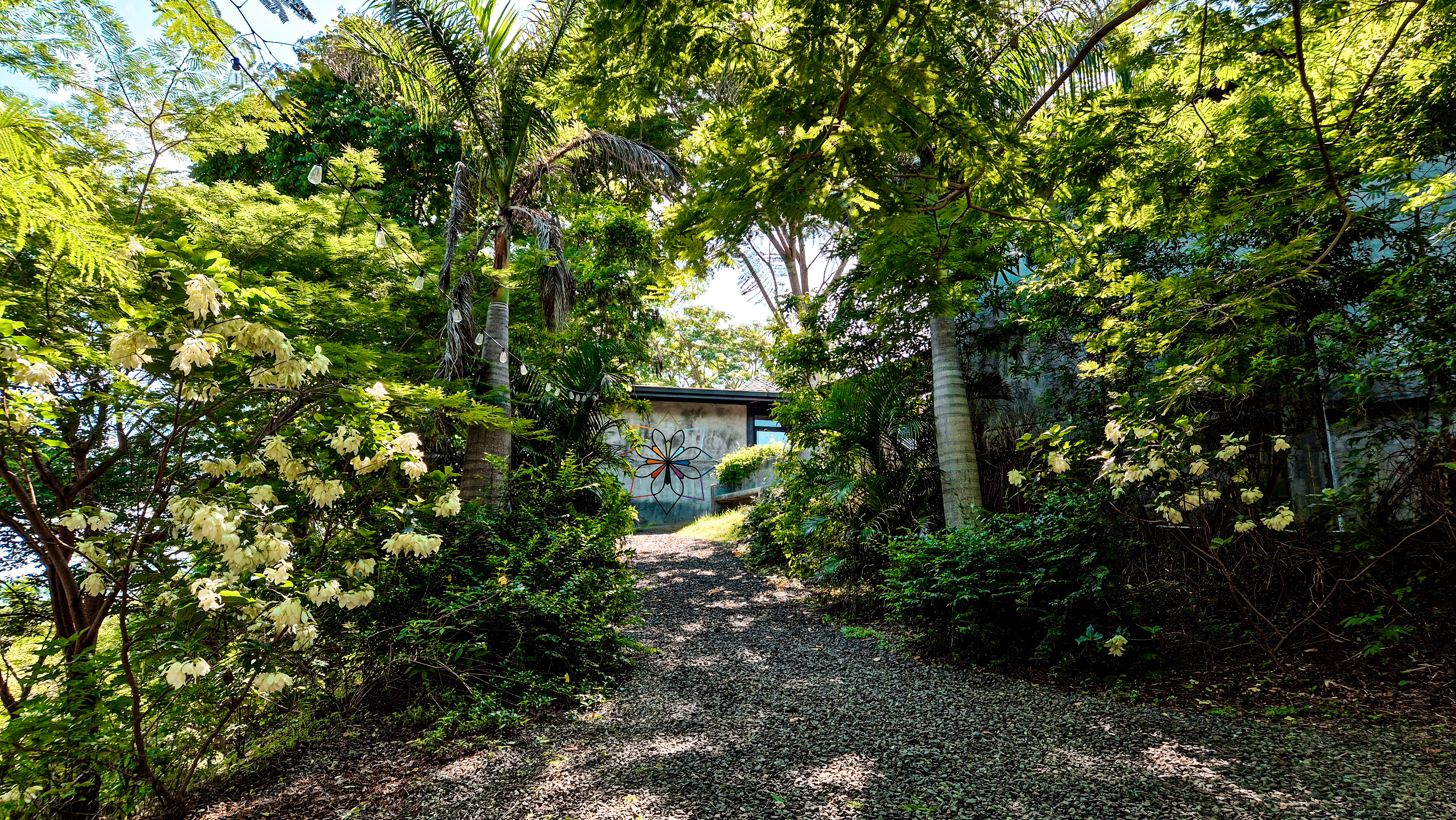 Yoga Retreats in Cañas, Panama: The Complete Guide