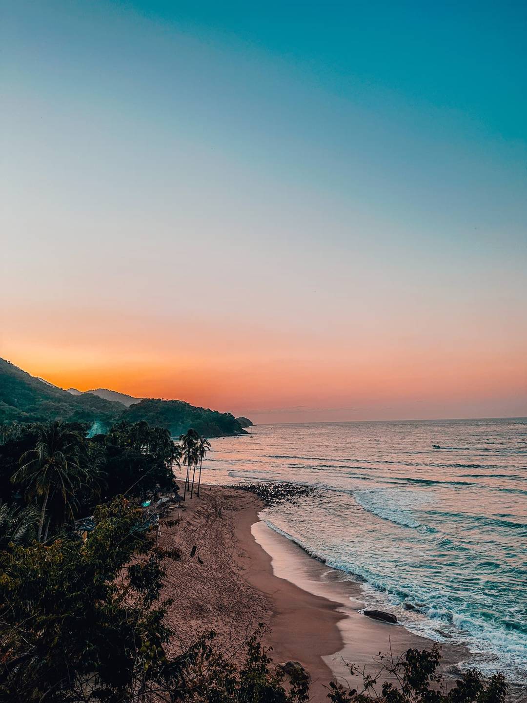 Forever Wild: Mexico Women’s Yoga Retreat in Puerto Vallarta